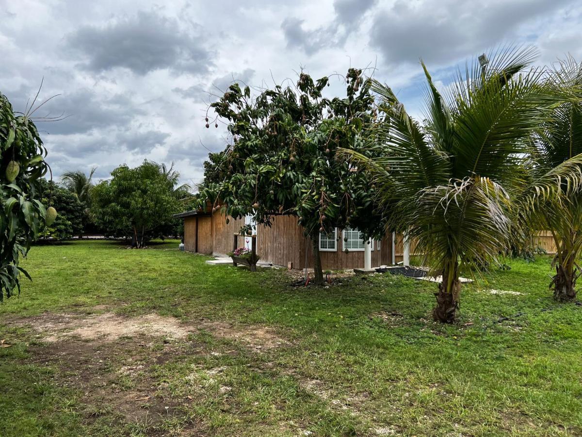 Maria'S Tiny Barn Guest House Homestead Exterior foto