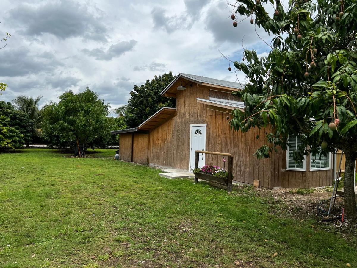 Maria'S Tiny Barn Guest House Homestead Exterior foto