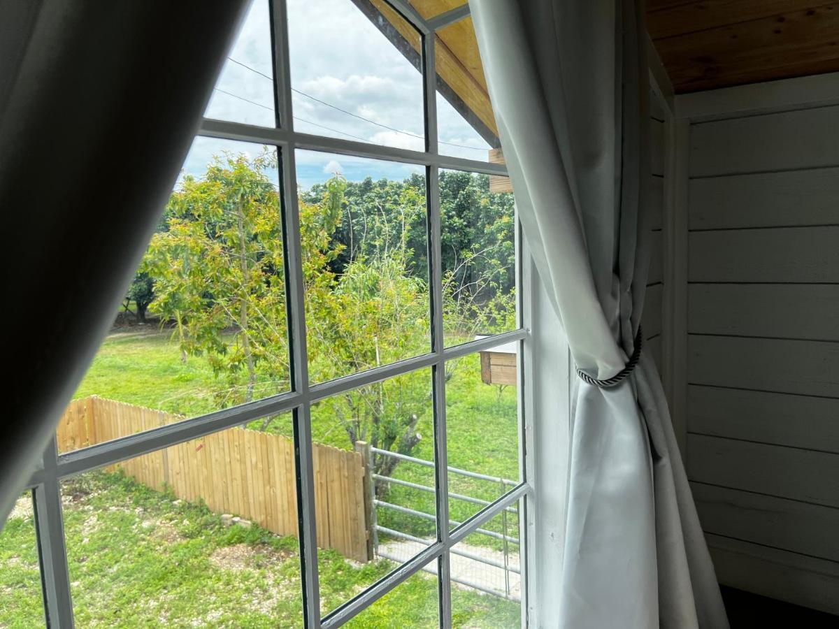 Maria'S Tiny Barn Guest House Homestead Exterior foto